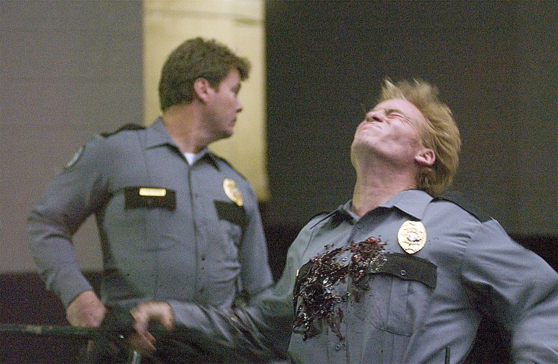 Today You Die : Bild