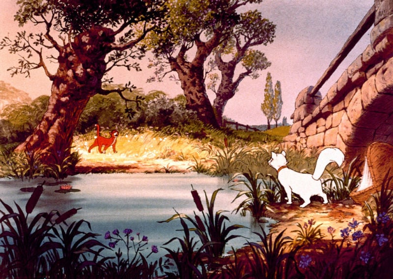 Aristocats : Bild