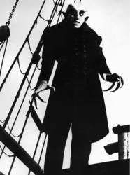Nosferatu, eine Symphonie des Grauens : Bild