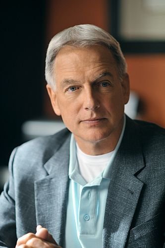 Navy CIS : Bild Mark Harmon