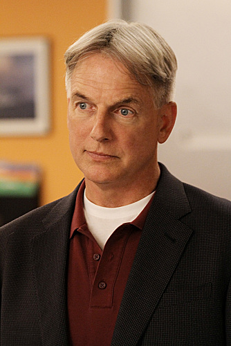 Navy CIS : Bild Mark Harmon