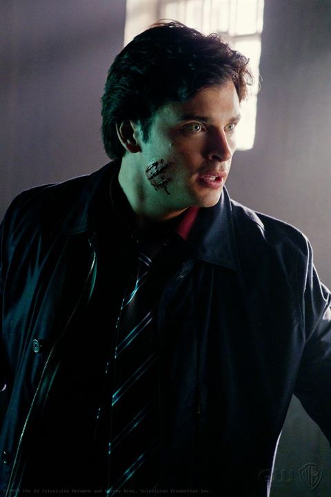 Bild Tom Welling