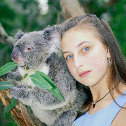 Koalas und andere Verwandte : Kinoposter