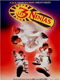 3 Ninjas Fight & Fury : Kinoposter