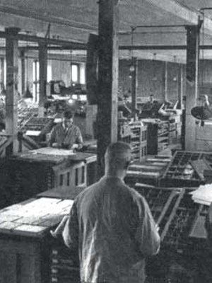 Zwiebelfische : Kinoposter