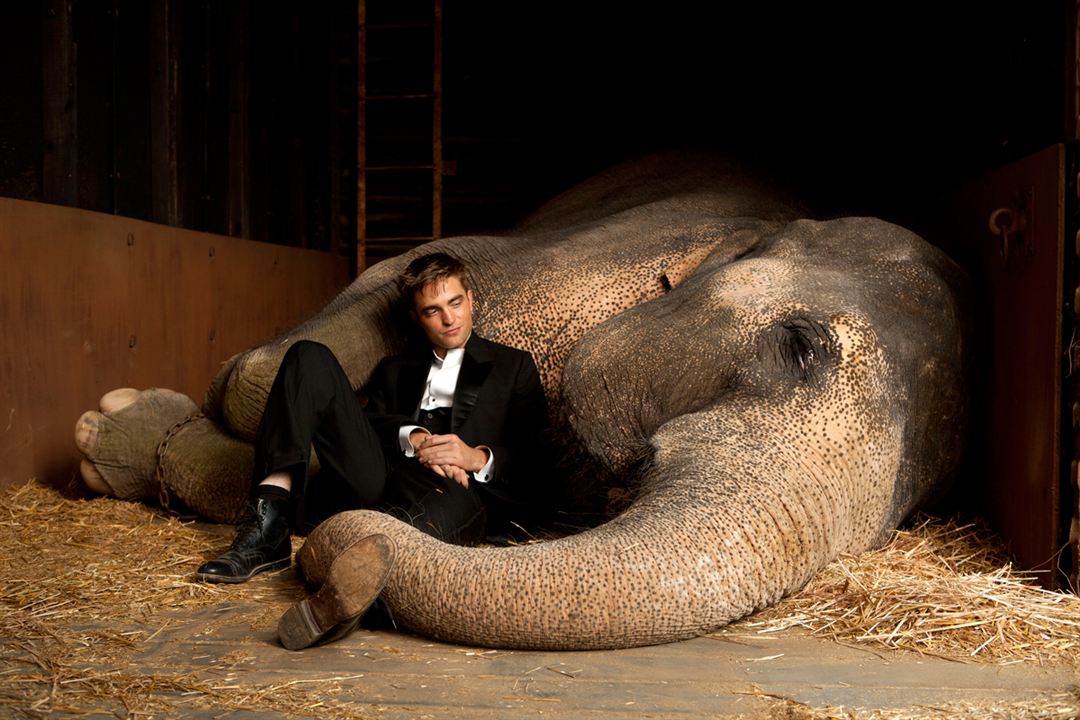 Wasser für die Elefanten : Bild Robert Pattinson