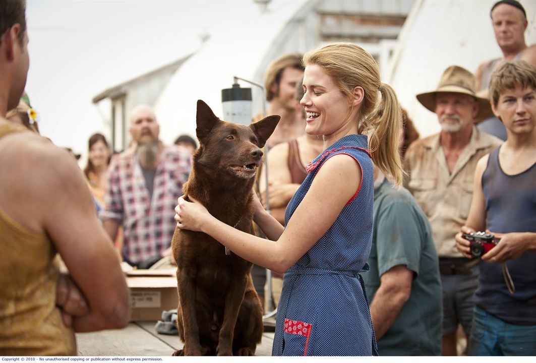 Red Dog : Bild Rachael Taylor