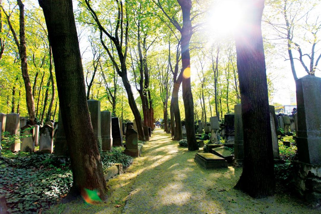 Im Himmel, Unter der Erde - Der Jüdische Friedhof Weißensee : Bild