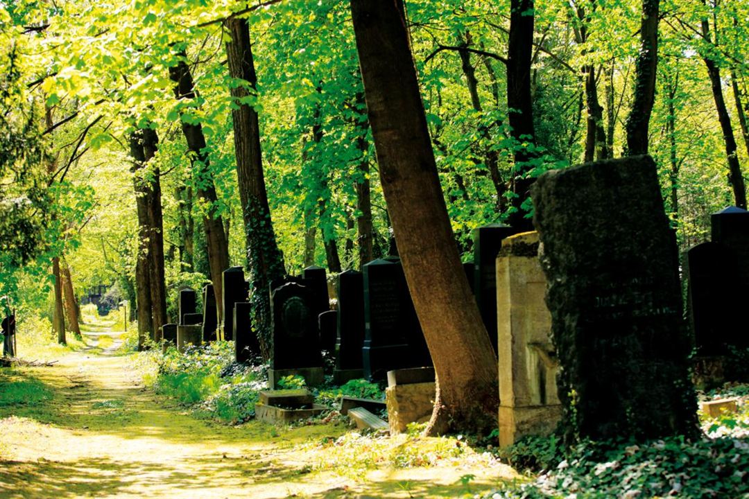 Im Himmel, Unter der Erde - Der Jüdische Friedhof Weißensee : Bild Britta Wauer