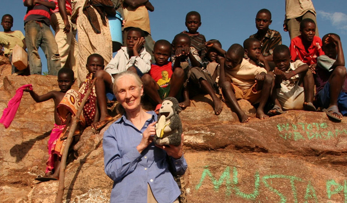 Jane's Journey - Die Lebensreise der Jane Goodall : Bild