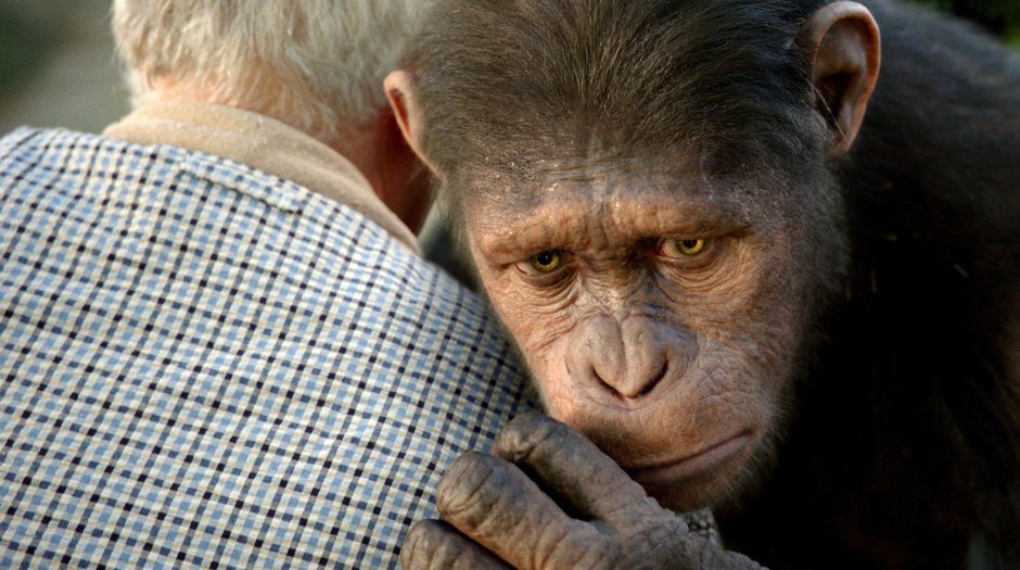 Planet der Affen: Prevolution : Bild