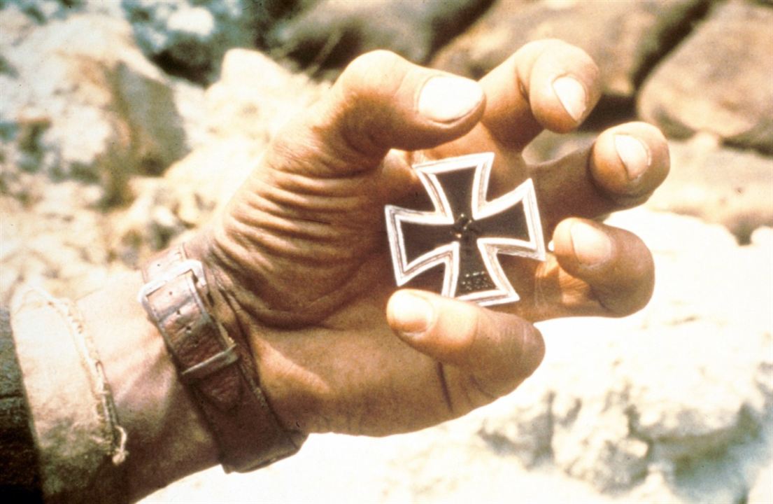 Steiner - Das Eiserne Kreuz : Bild