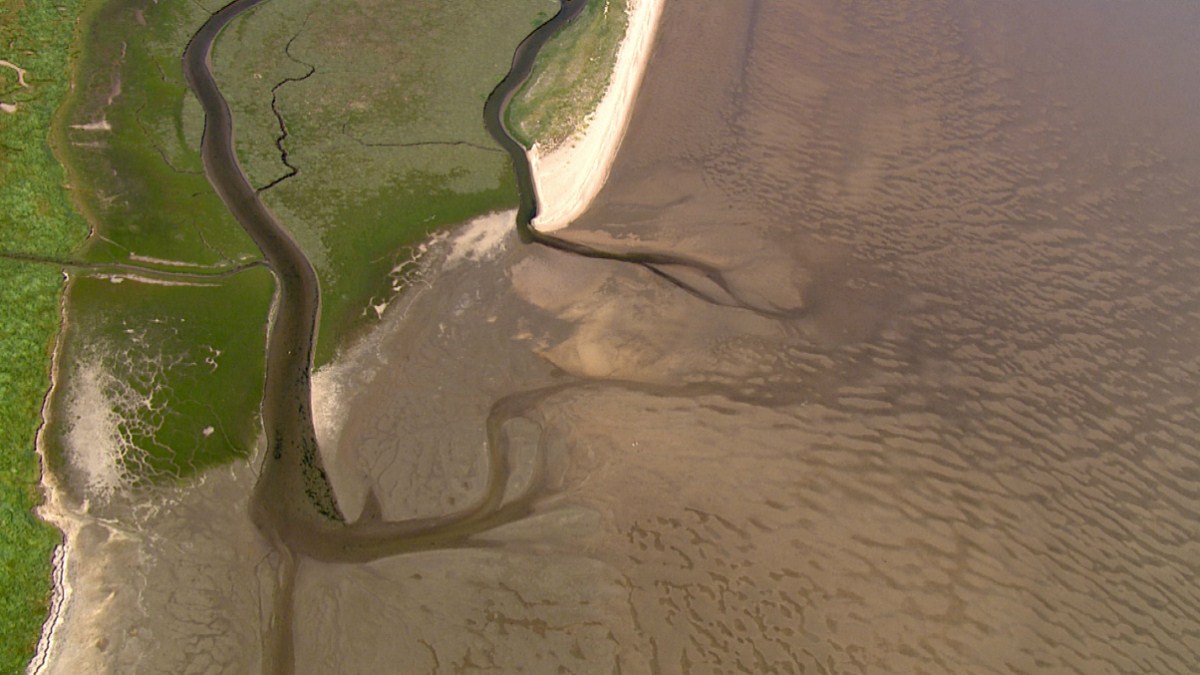 Die Nordsee von oben : Bild