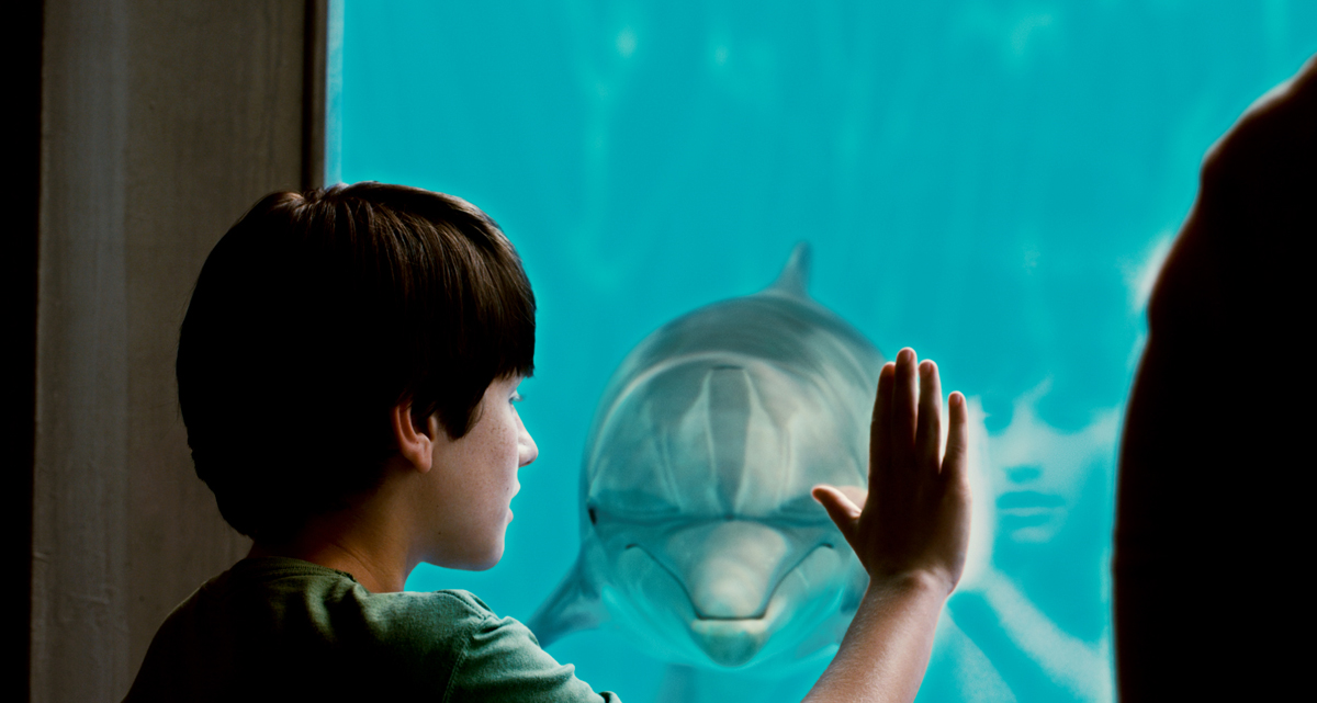 Mein Freund, der Delfin : Bild Charles Martin Smith, Nathan Gamble