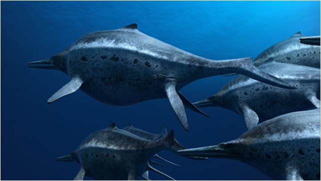 Sea Rex 3D: Reise in die Zeit der Dinosaurier : Bild