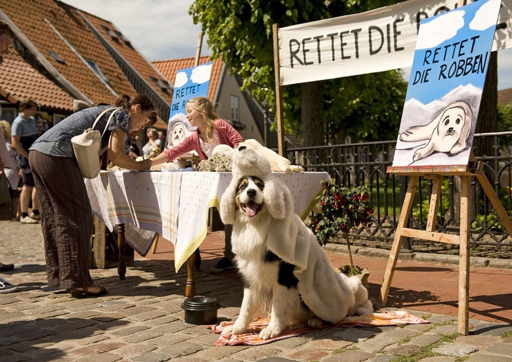 Fünf Freunde : Bild Neele-Marie Nickel