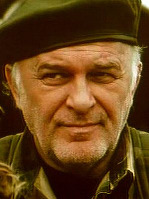 Kinoposter Miralem Zupcevic