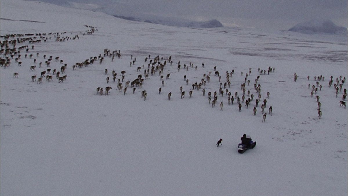 Jon face aux vents : Bild