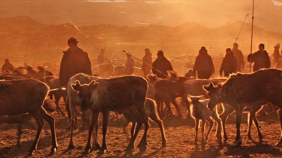 Jon face aux vents : Bild