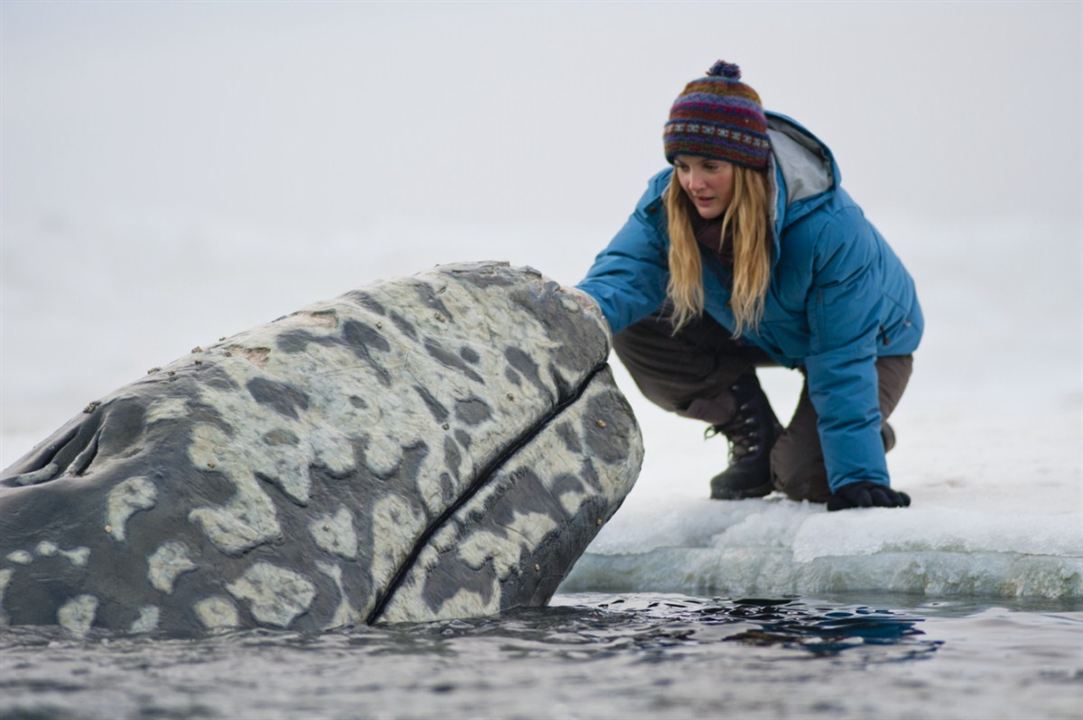 Der Ruf der Wale : Bild Drew Barrymore