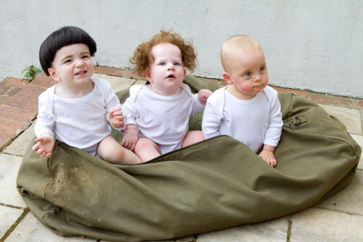 Die Stooges - Drei Vollpfosten drehen ab : Bild