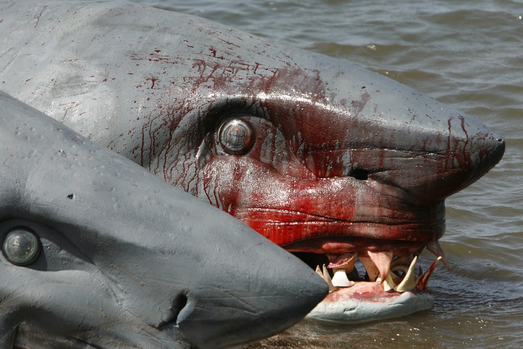 2-Headed Shark Attack : Bild