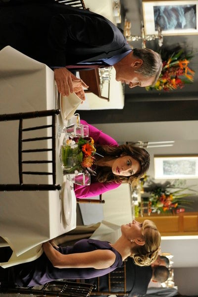 Fairly Legal : Bild Virginia Williams, Sarah Shahi, Mark Moses