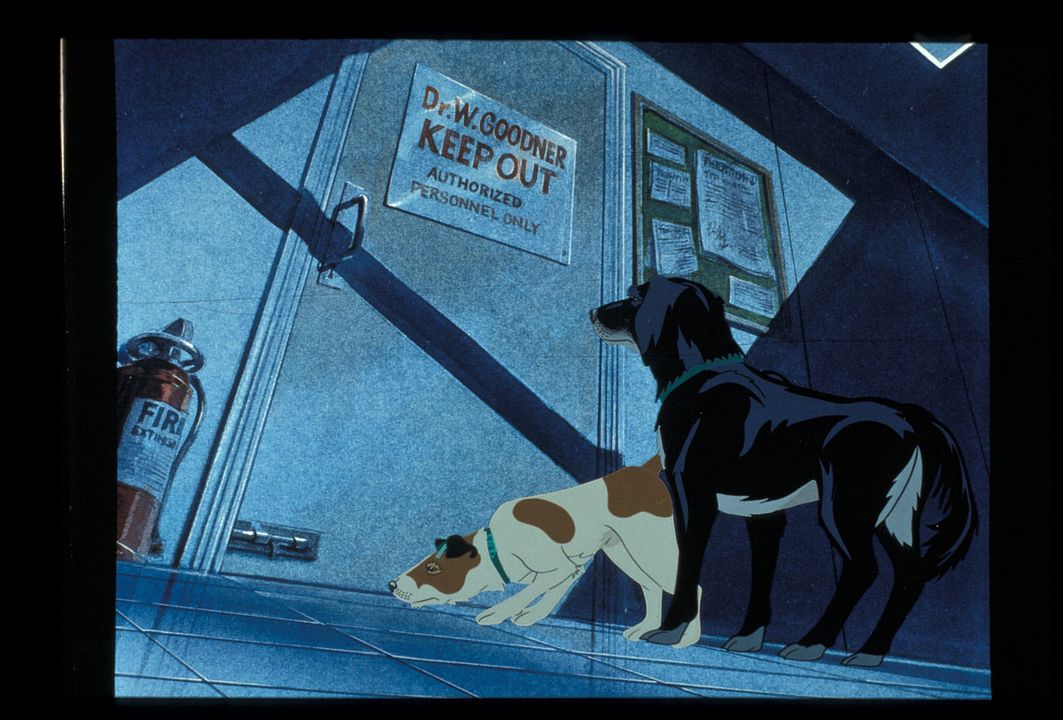 Die Hunde sind los : Bild