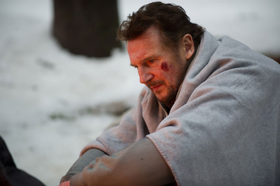 The Grey - Unter Wölfen : Bild Liam Neeson, Joe Carnahan