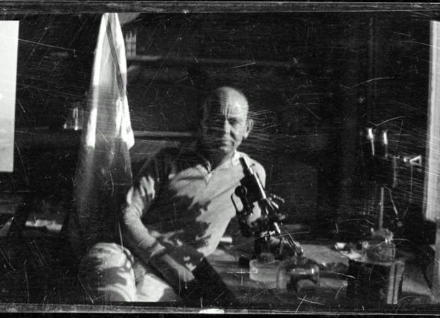 Sergej in der Urne : Bild