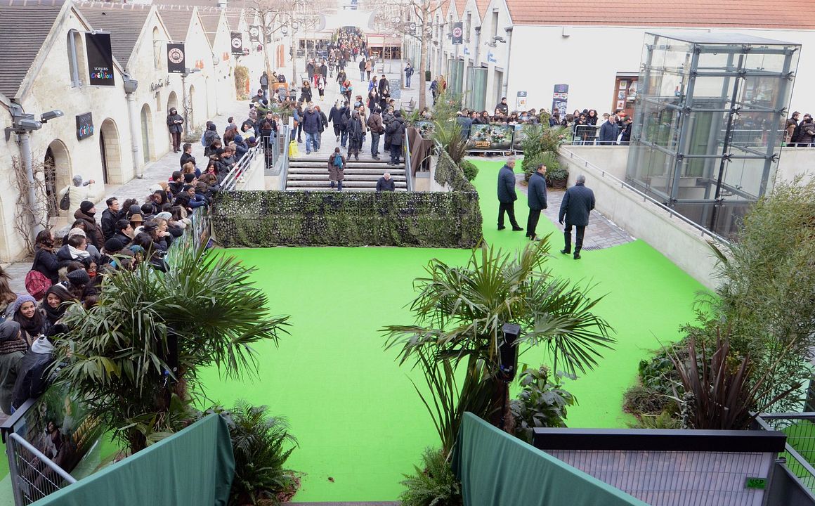 Die Reise zur geheimnisvollen Insel : Bild