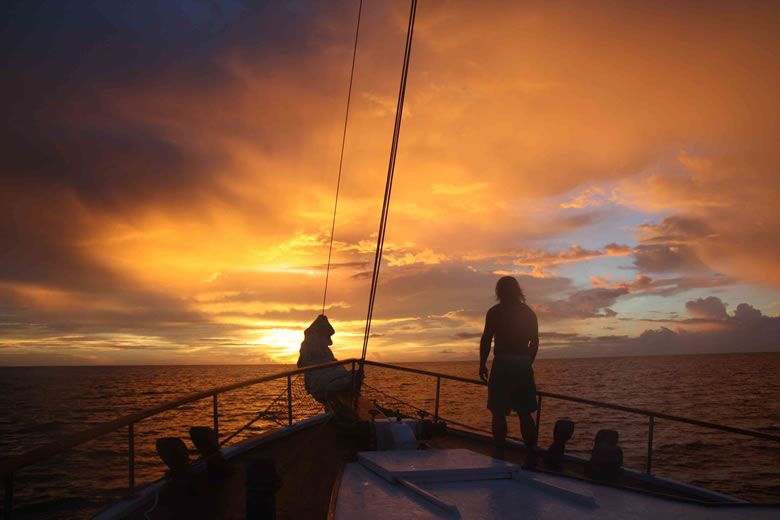 Caught Inside : Bild