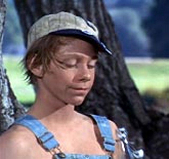 Ein Frechdachs im Maisbeet : Bild