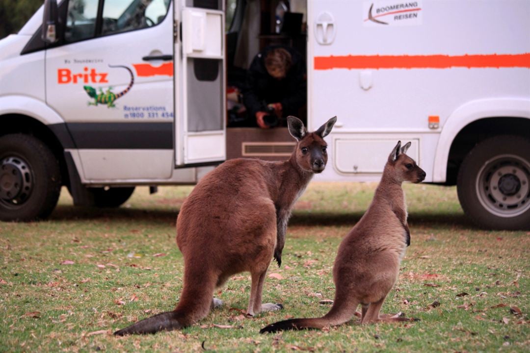 Australien in 100 Tagen : Bild