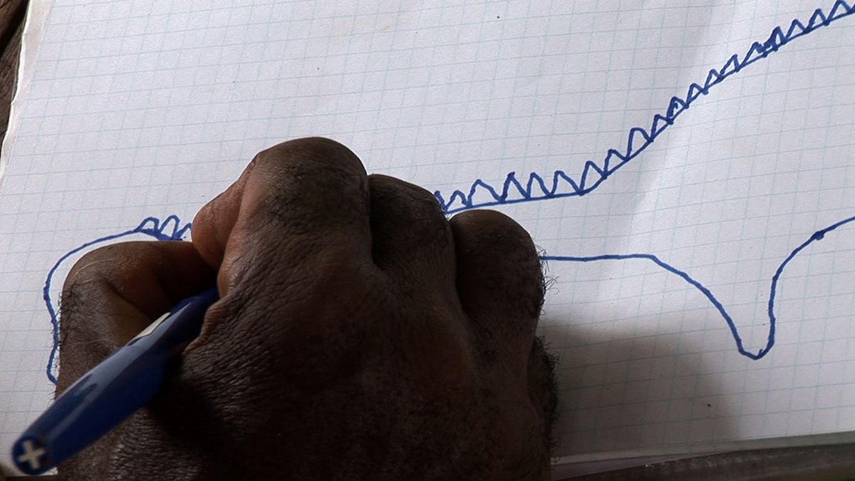 L'Hypothèse du Mokélé M'Bembé : Bild