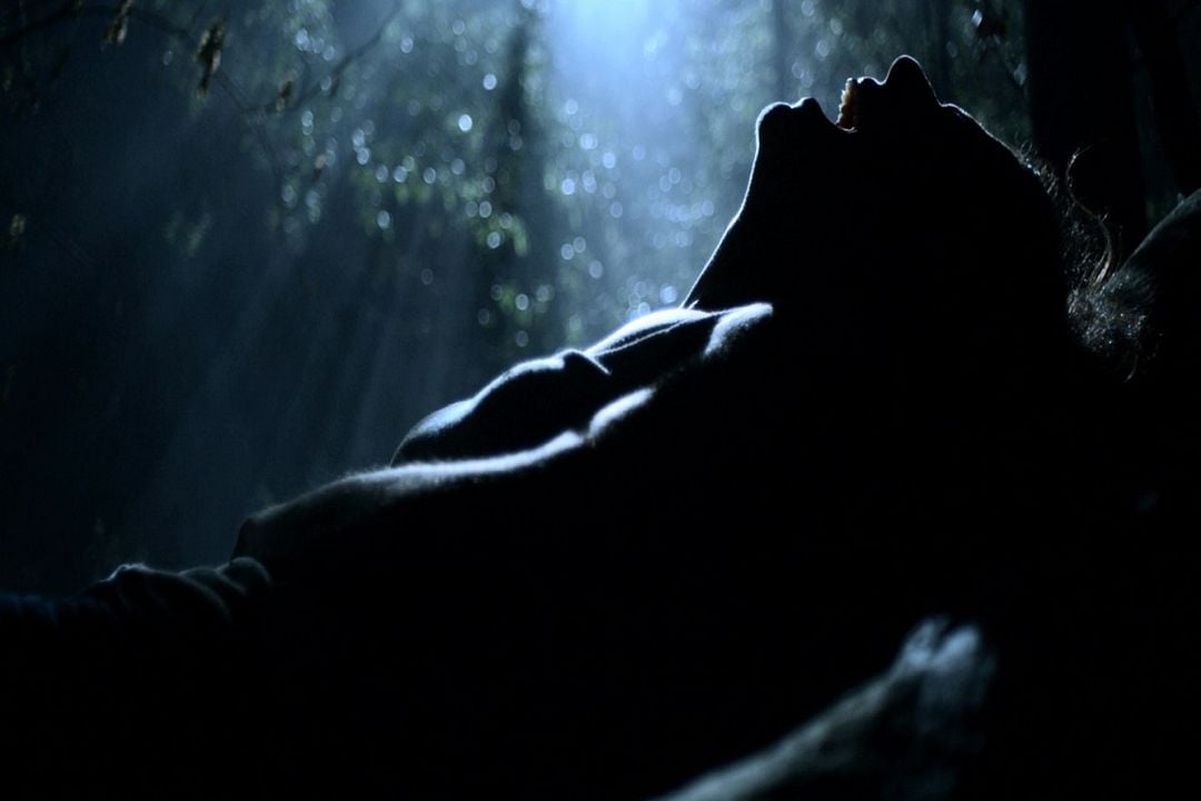 Morituris - Das Böse gewinnt immer : Bild