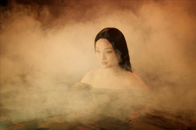 Painted Skin 2: The Resurrection : Bild