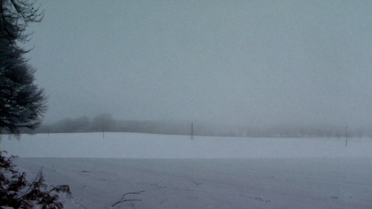 Heino Jaeger - look before you kuck : Bild