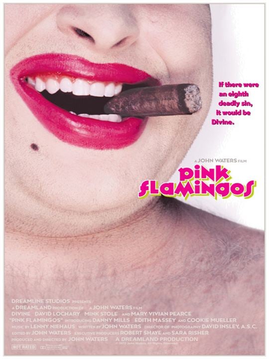 Pink Flamingos : Kinoposter