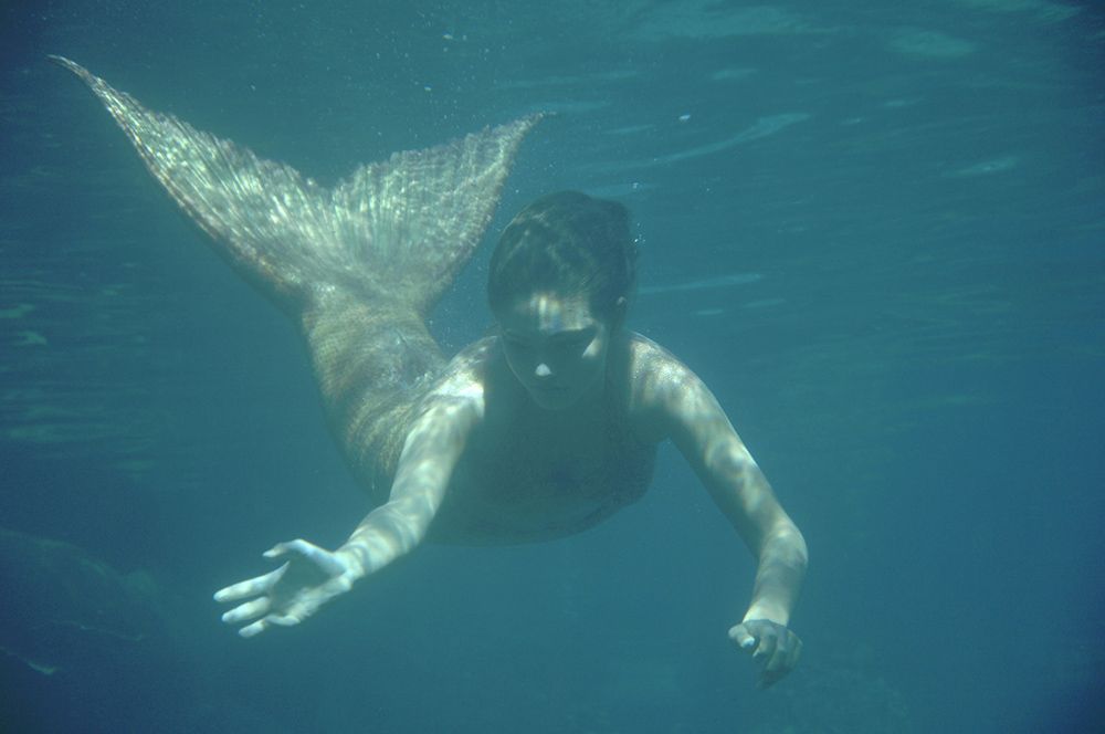 H2O - Plötzlich Meerjungfrau : Bild Phoebe Tonkin