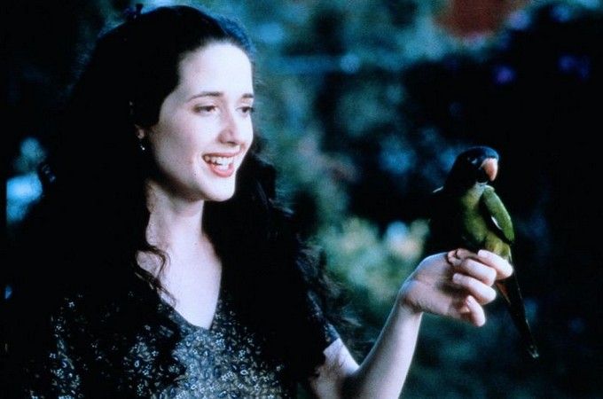 Paulie, ein Plappermaul macht seinen Weg : Bild