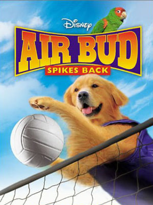 Air Bud 5 - Vier Pfoten schlagen auf : Kinoposter