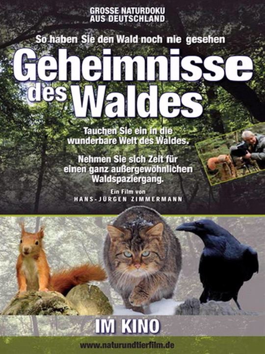 Geheimnisse des Waldes : Kinoposter