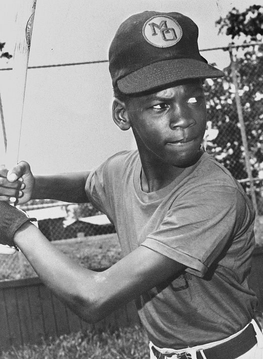 Michael Jordan to the Max : Bild