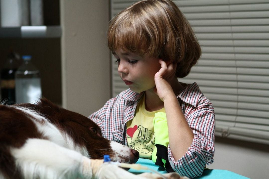 Mein Freund Max : Bild