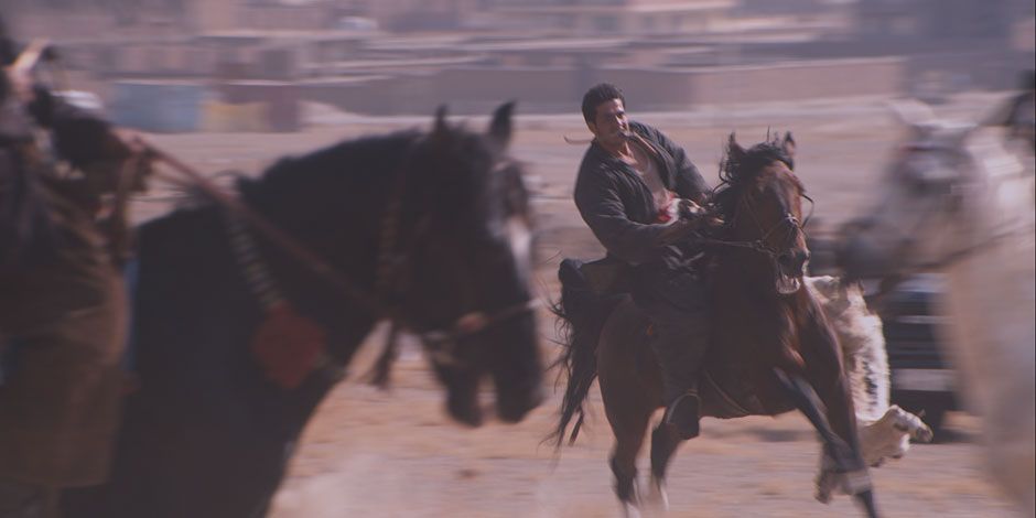 The Black Tulip : Bild