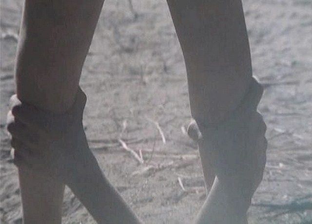 Oase der Zombies : Bild