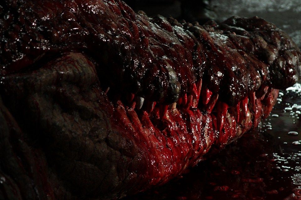 Lake Placid 4 : Bild