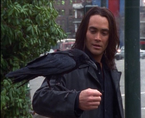 Bild Mark Dacascos