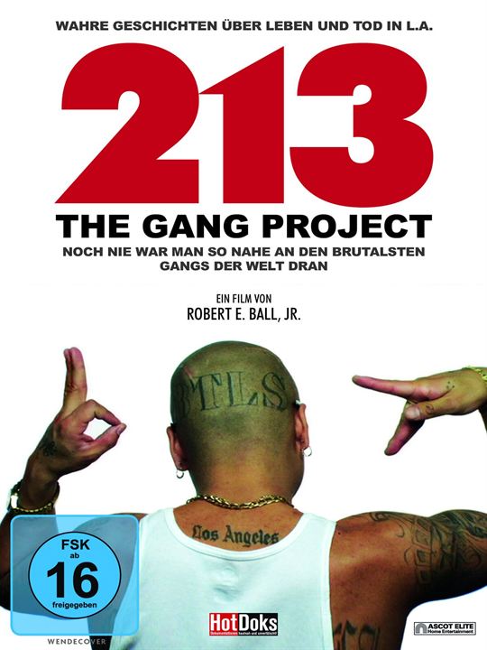 213 - The Gang Project : Kinoposter